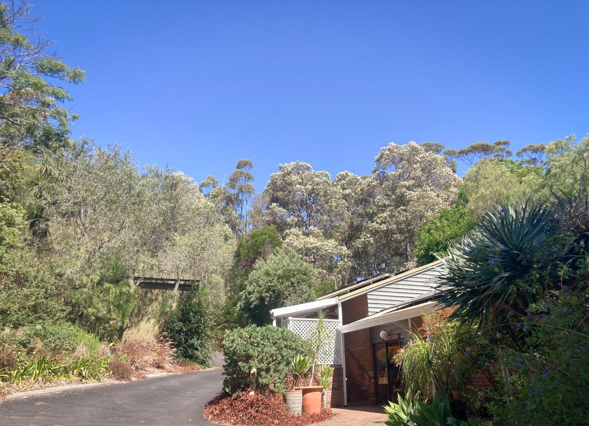 เอดจ์ออฟเดอะฟอเรสต์ Motel Margaret River ภายนอก รูปภาพ