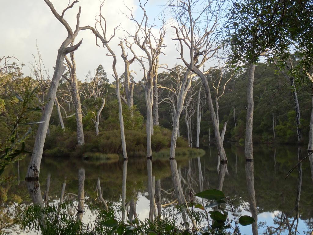 เอดจ์ออฟเดอะฟอเรสต์ Motel Margaret River ภายนอก รูปภาพ