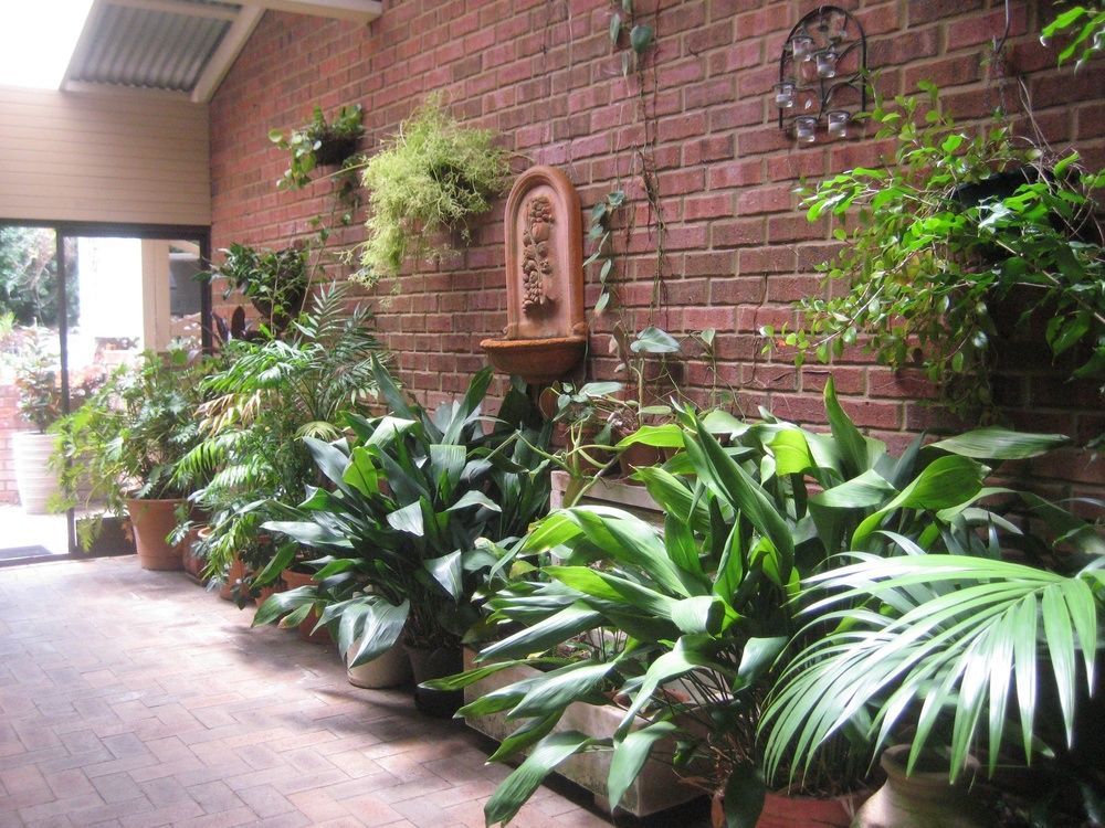เอดจ์ออฟเดอะฟอเรสต์ Motel Margaret River ภายนอก รูปภาพ