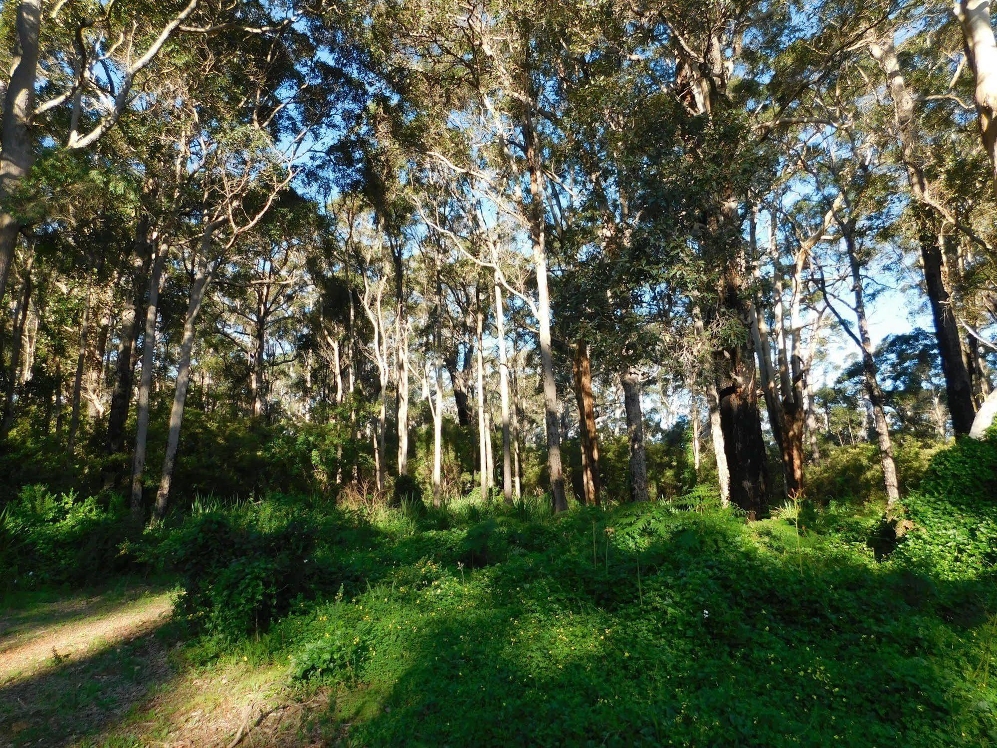 เอดจ์ออฟเดอะฟอเรสต์ Motel Margaret River ภายนอก รูปภาพ